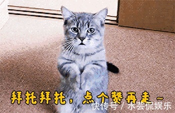 皮肤干燥|花朵丰腴,色彩鲜艳,好看养眼,还能改善皮肤干燥、皱纹