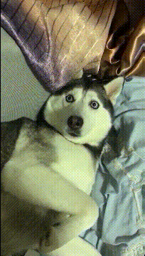 |搞笑GIF:姑娘你矜持点,你的演绎浮夸得让我害怕,哈哈哈