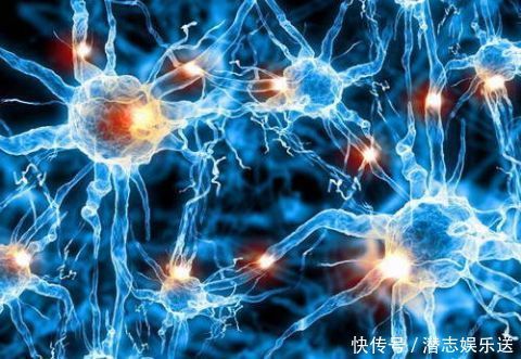 随手丢弃的莴苣叶子 原来对身体有这么多好处