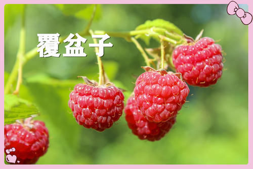 果子|小时候常吃的12种“野果子”,现在很少见了,吃过的年龄不小了