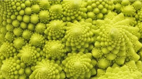  回去|有痰不吐，咽回去了会怎样？为什么有人不会吐痰？