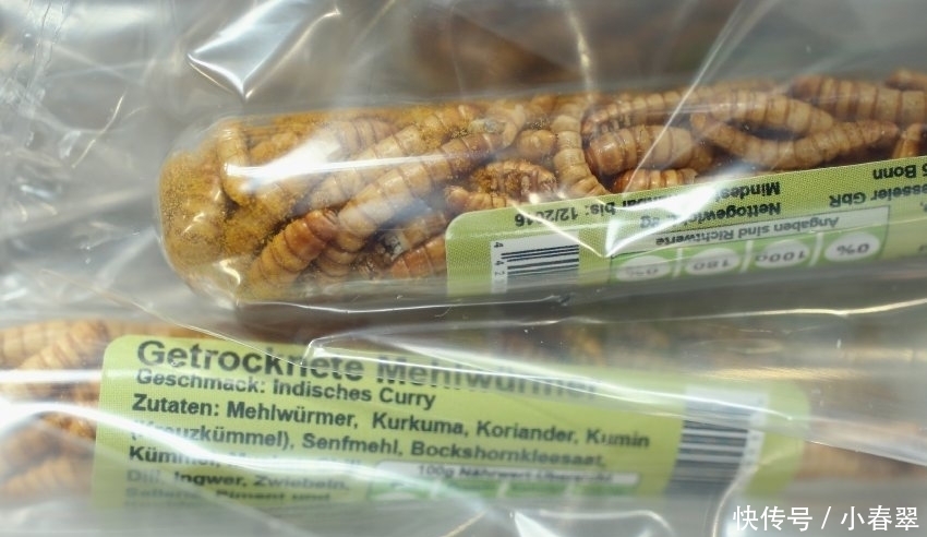 重口“美味”,你敢吃吗,我看了都怕了!