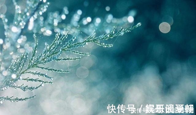 沧桑&八首诗词,八种眼泪哪一种,是你曾经的心情