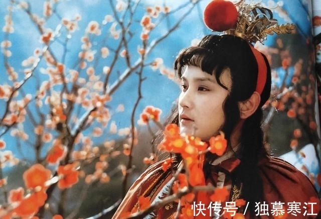 中国风$《红楼梦》雪中赏梅,堪比时装盛宴,带你领略什么叫中国风