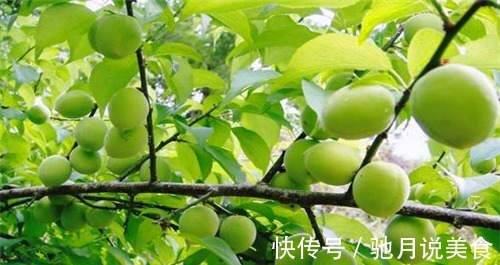 女性|想要身体好,女性多吃4种食物,养护血管,预防子宫早衰