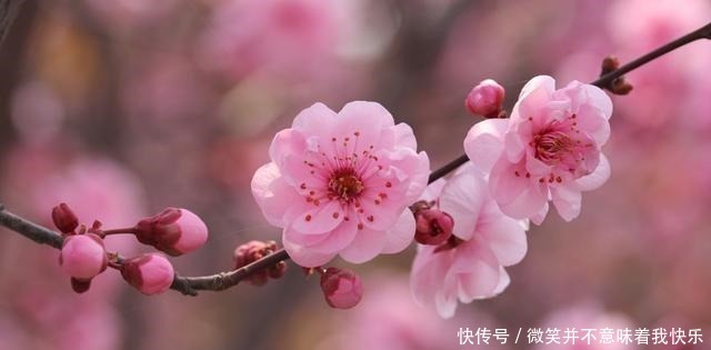 每天思考20句话,多读践行,早晚遇见最好的自己!