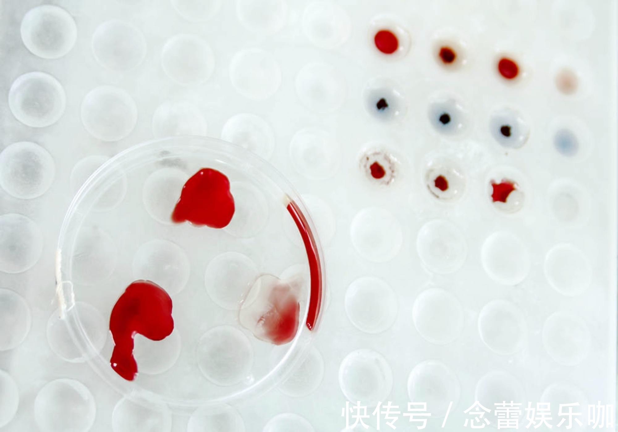 宁宁|如果父母是这两种血型,生出的娃多是“聪明坯子”,看看你符合吗