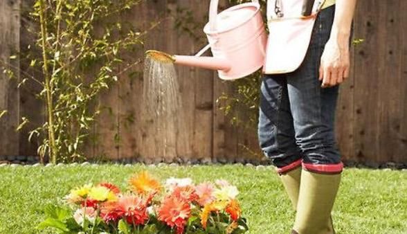 给花浇水的时候，怎么判断土壤的干湿？听听老花匠的经验之谈！