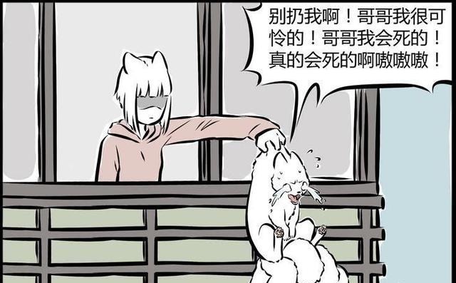十一月|非人哉十一月饿晕了,赖在九月家不走,九月要把他扔下楼