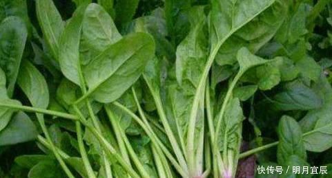 會(huì)吃的人最健康,不妨多吃的食物,護(hù)肝明目,活血補(bǔ)血