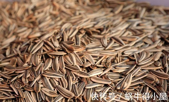 提高君子兰开花率的4种“宝贝”，第一种免费，第四种自己能制作