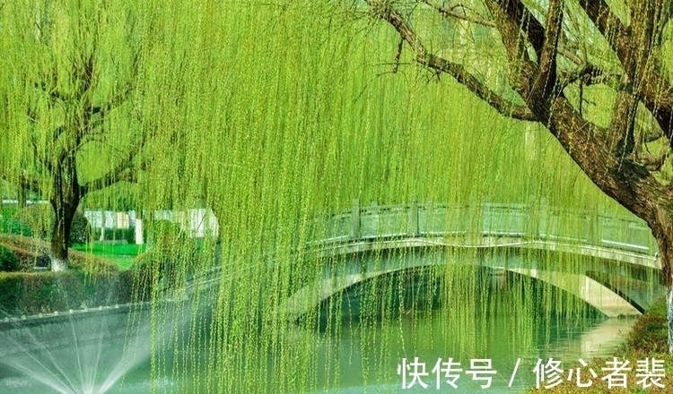 东风#黄庭坚的父亲,文才亦出众,一首写景诗给人带来好心情,值得一读