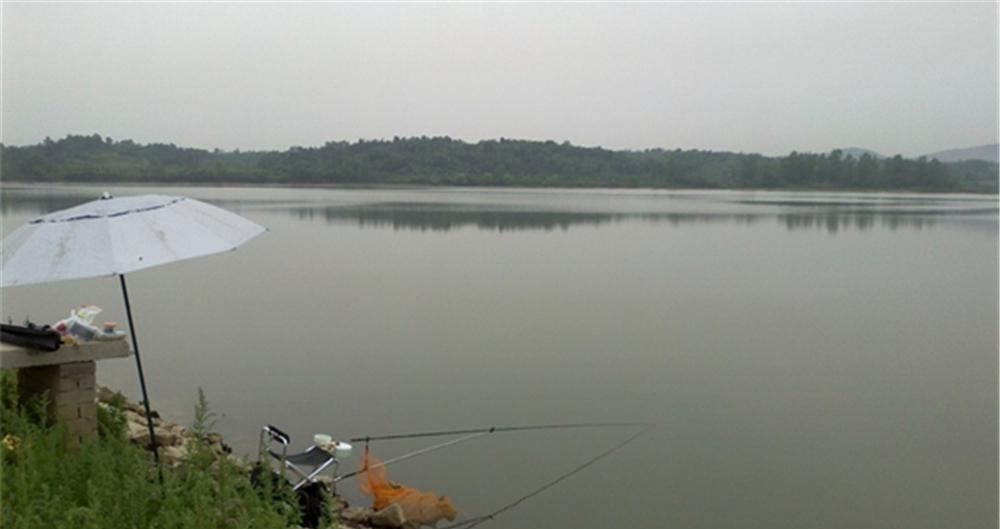 钓不到鱼？基本是天气没选对，这些天气鱼“胃口好”，很容易爆护