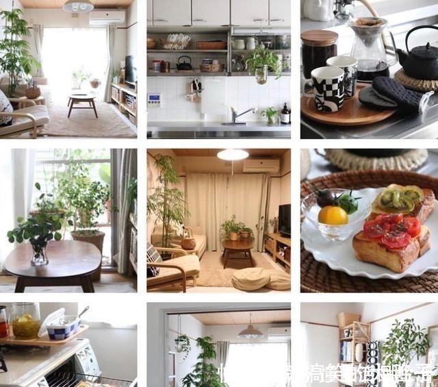 太太|日本退休夫妇的蜗居生活,房子虽小却布置得温馨精致,惹人喜爱!