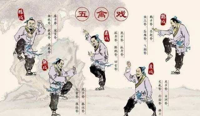 “华佗是印度人”,印度专家再次发声,清华教授认同并提出观点