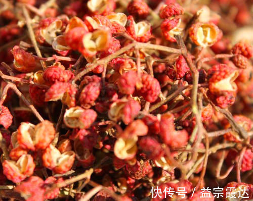 正确做法|不管炖啥鱼，都别用料酒和醋去腥，教你正确做法，鱼肉鲜香不腥气