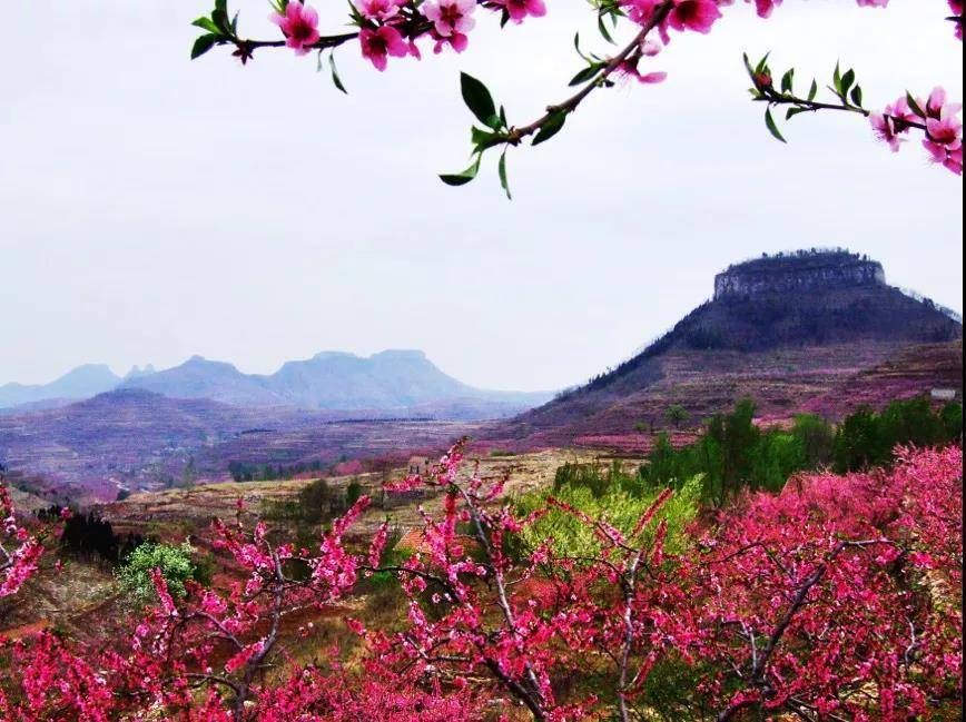 全域旅游|临沂市蒙阴县、费县成功创建山东省全域旅游示范区