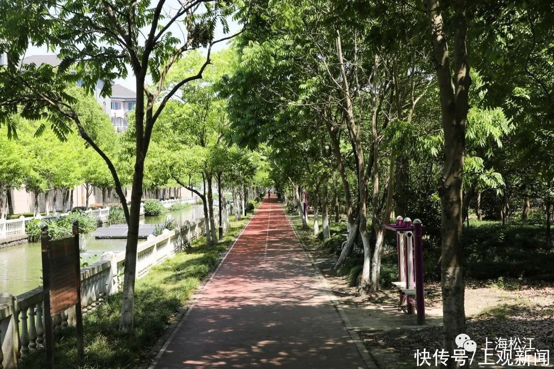 步道|休闲健身好去处！松江这里新增一条健身步道，在你家门口吗？