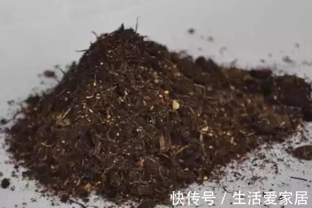 根系|养过花的旧土别扔了,处理下还能重复使用