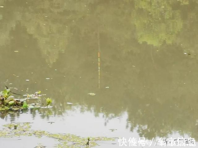 台钓|钓鱼中的“黑话”知多少?能听懂10个以上的是老钓手