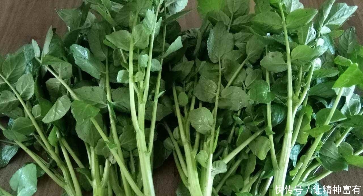 西洋菜5种最好吃的做法,每种都简单美味,看看你喜欢吃哪种?