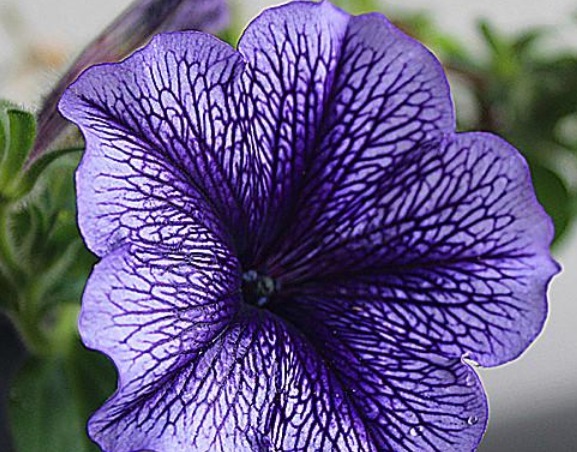 好习惯|“发财”是有原因的,养成以下4个好习惯,不发财都难!