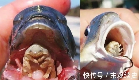 一男子河边钓鱼,扒开嘴巴看看,顿时瘫在地上