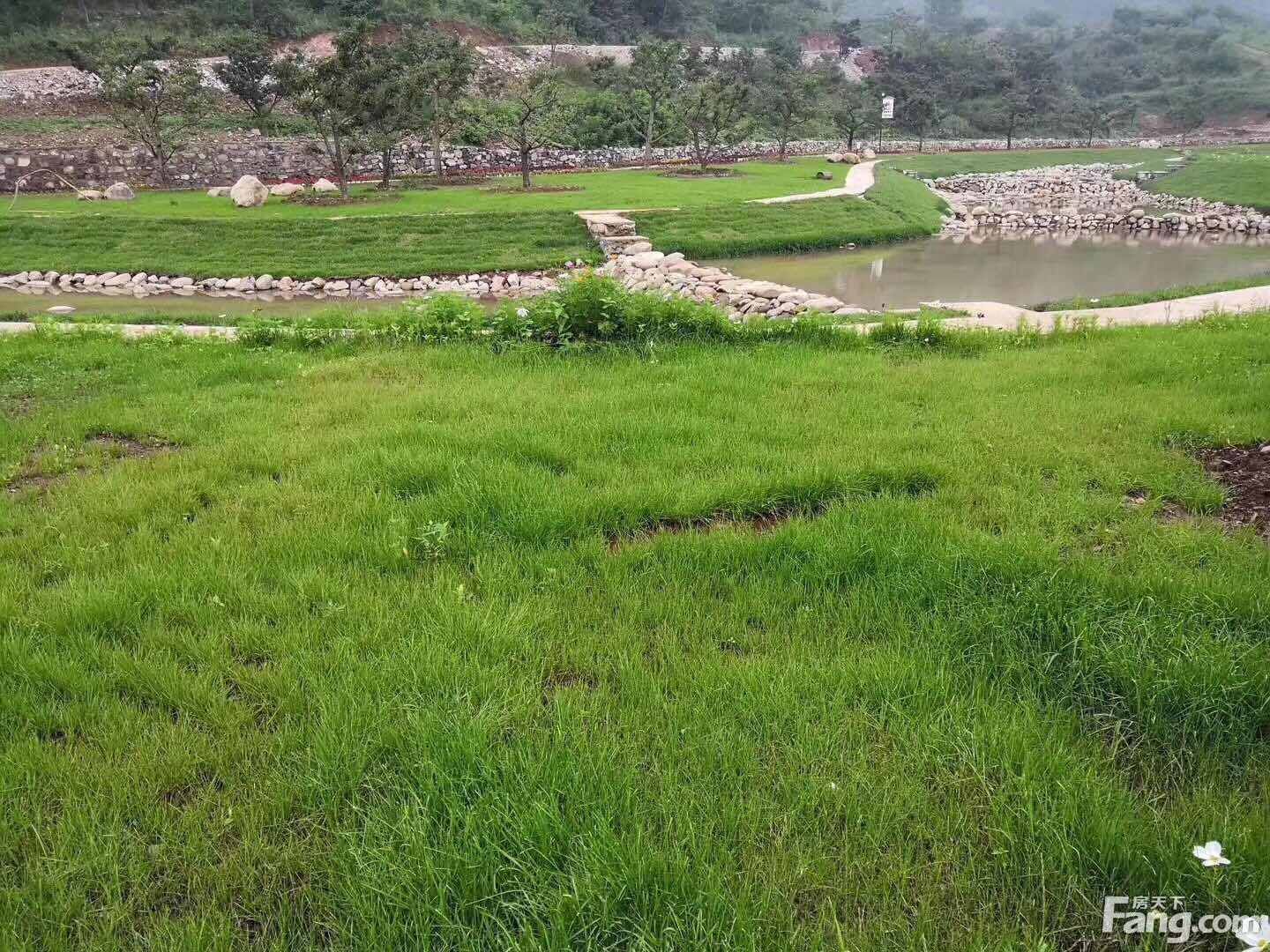 楼盘|想看北京其他楼盘的最新现场实景，选房一定要看