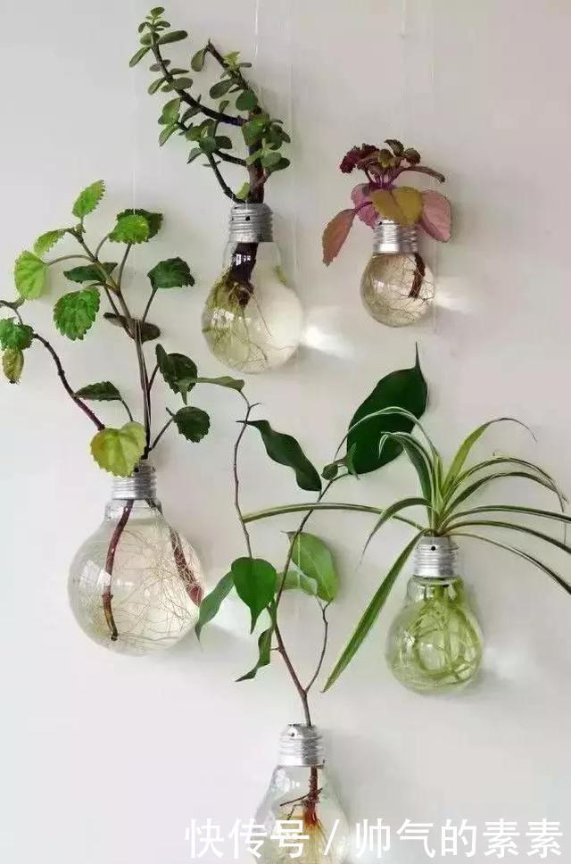 只要脑洞够,万物皆可花盆