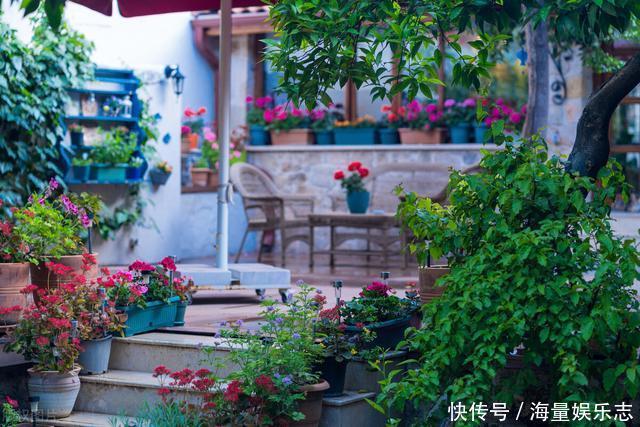 养花也该适时断舍离,如果您家阳台上也有这些,不妨清理一下