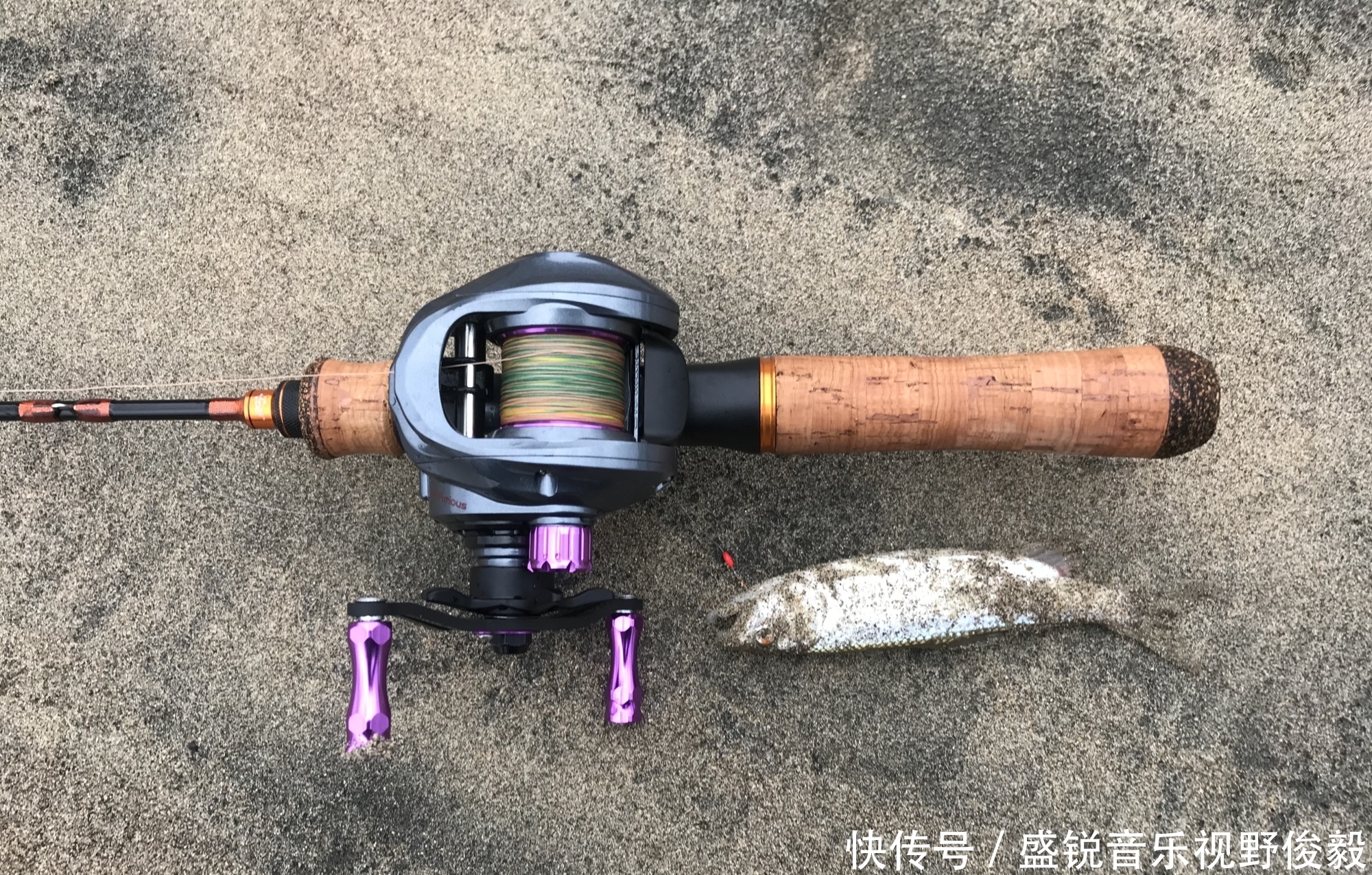 亮片|立夏后,作钓白条的几点技巧,一般人真不知道