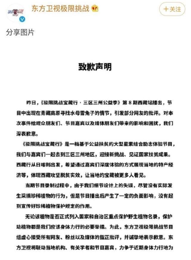 茶叶|《宝藏行》再惹争议，为节目效果用脚踢茶叶，丢地上踩没有公德心