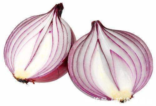 洋葱,饵料界的新宠,用此物开饵,冬天钓鱼不愁鱼不进窝