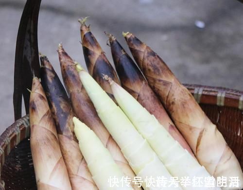 野菜|它被称为“人参菜”,排毒素降血压,保护肝脏,正当季人人吃得起