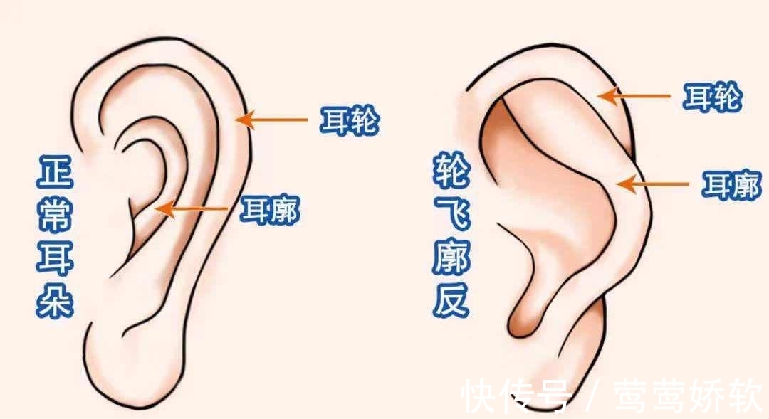 鼻子|仙扑门：面相识人之富贵相