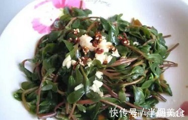 马齿笕|救命的“马儿菜”,原来对人还有这么多好处,真的”浑身是宝“