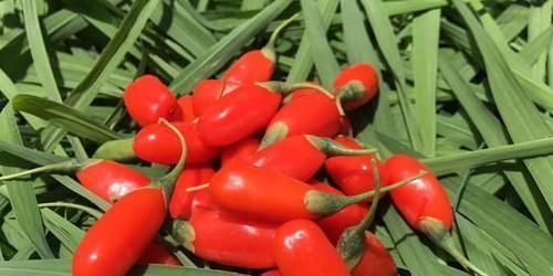 黄瓜|人到中年，常吃三种食物，排毒护肤，刮油消脂，清理肠胃