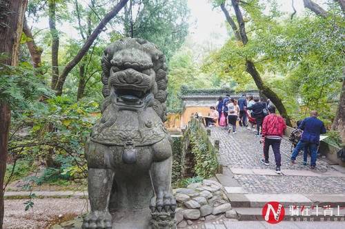 浙江深山发现一古寺，门票5元吃饭2元，被网友好评点赞