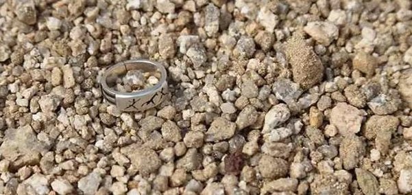 盆底|盆里扔2样东西,养花10年不烂根,叶子油光瓦亮,花苞挂满枝头