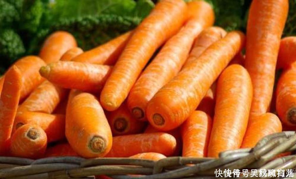 白萝卜|冬天吃萝卜对身体好,但提醒一点:萝卜不能与以下3类食物一起吃