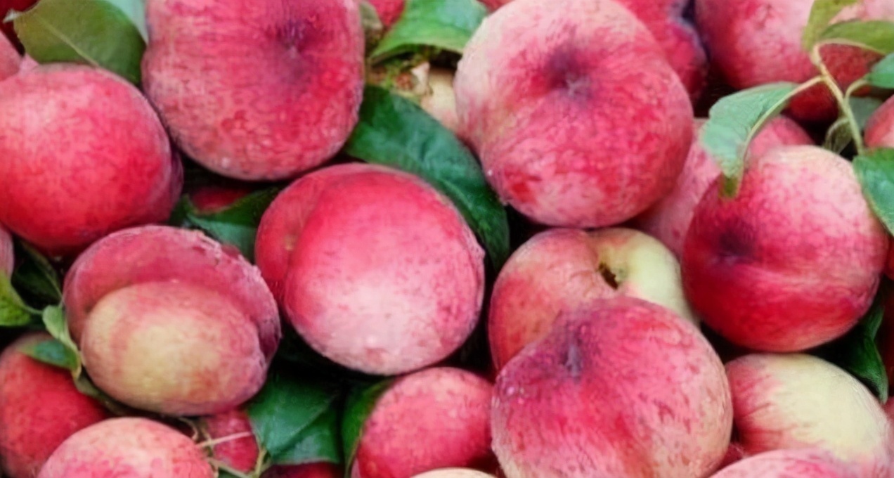 衰老|女性到了中年,常吃3种食物,排毒养颜,延缓衰老,好吃又健康