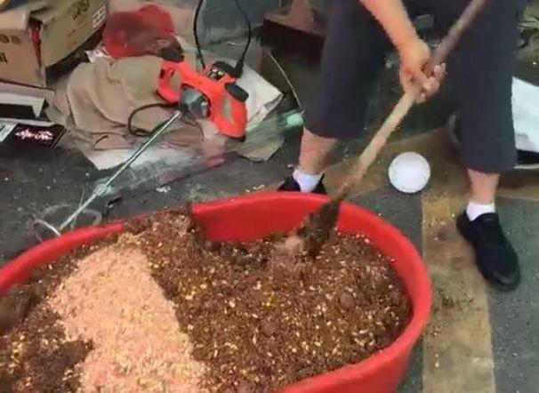 鲢鳙|鱼不开口咋整?打窝、死守都没用,这4招才能快速见效