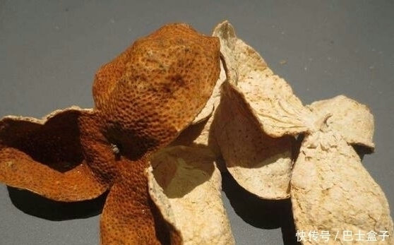 都说“百年陈皮,千年人参”,却不知陈皮加一味对身体有好处