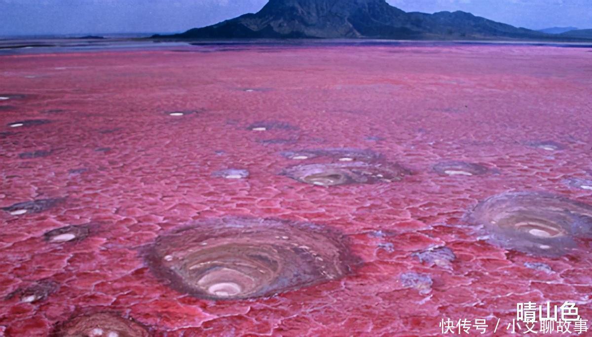 纳特龙湖为什么被称之为“冥河”动物一旦掉入，就会成为化石