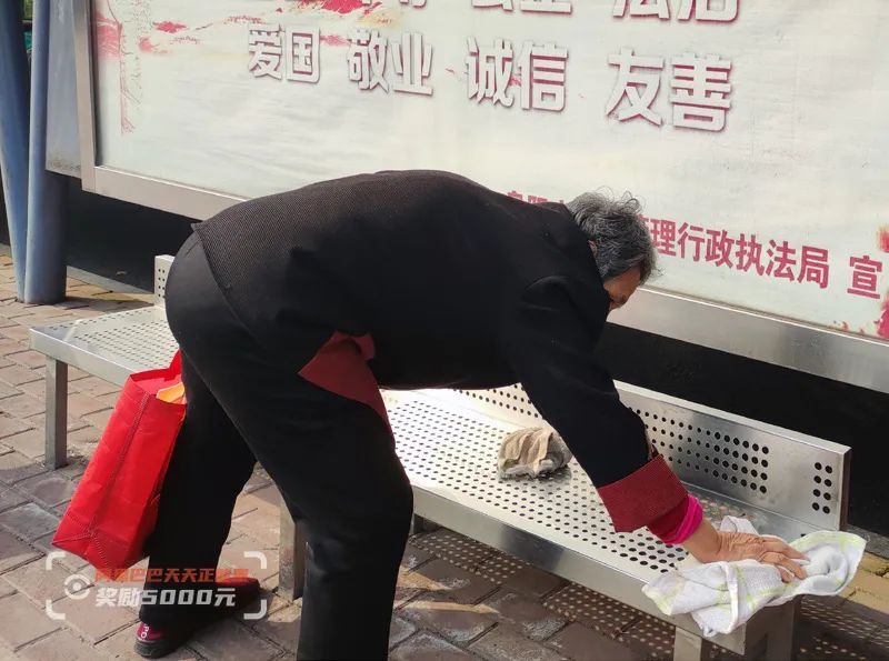 老人|连续8年，默默无闻……这个弯腰的白发老奶奶，感动了一座城