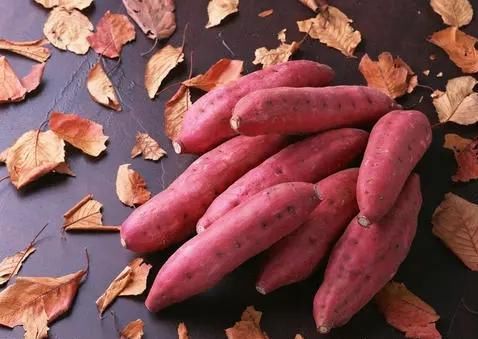 西红柿|免疫力差的人，医生建议：常吃7种食物，或有助提升免疫力