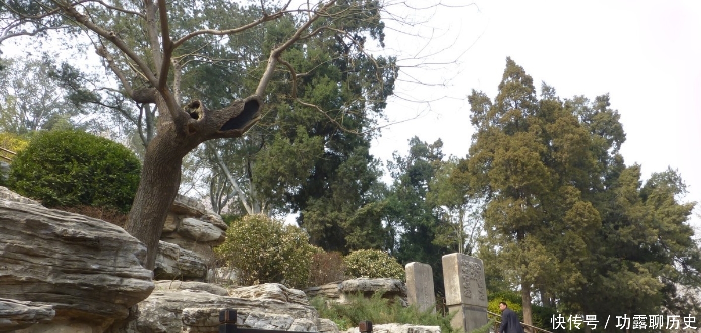 罪槐|崇祯帝自缢处，为得民心，将崇祯自缢的老槐树定名为“罪槐”