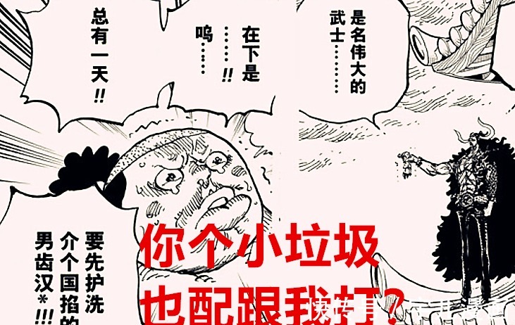 尾田|海贼王1027话:两级反转?烬可能是一个女生,桃之助战力升级