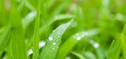 百病|脾虚百病生脾有“三怕”,多吃“一果”,健脾祛湿一步到位