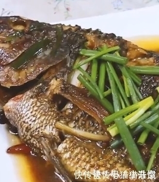 吃货|唯一让中国吃货退却的鱼!营养比甲鱼高,全身是宝,只要4元一斤